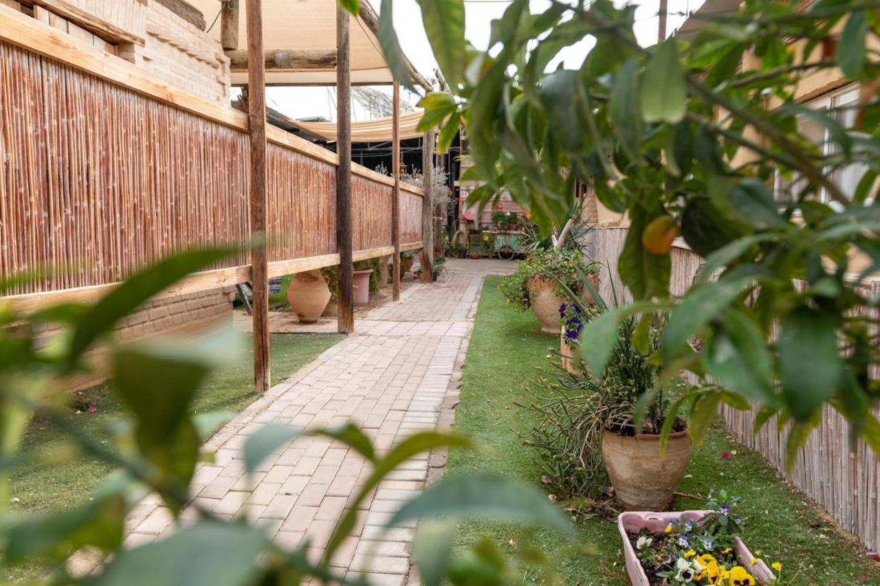 Desert Routes Inn Shvilim Ba Midbar Hazeva Экстерьер фото