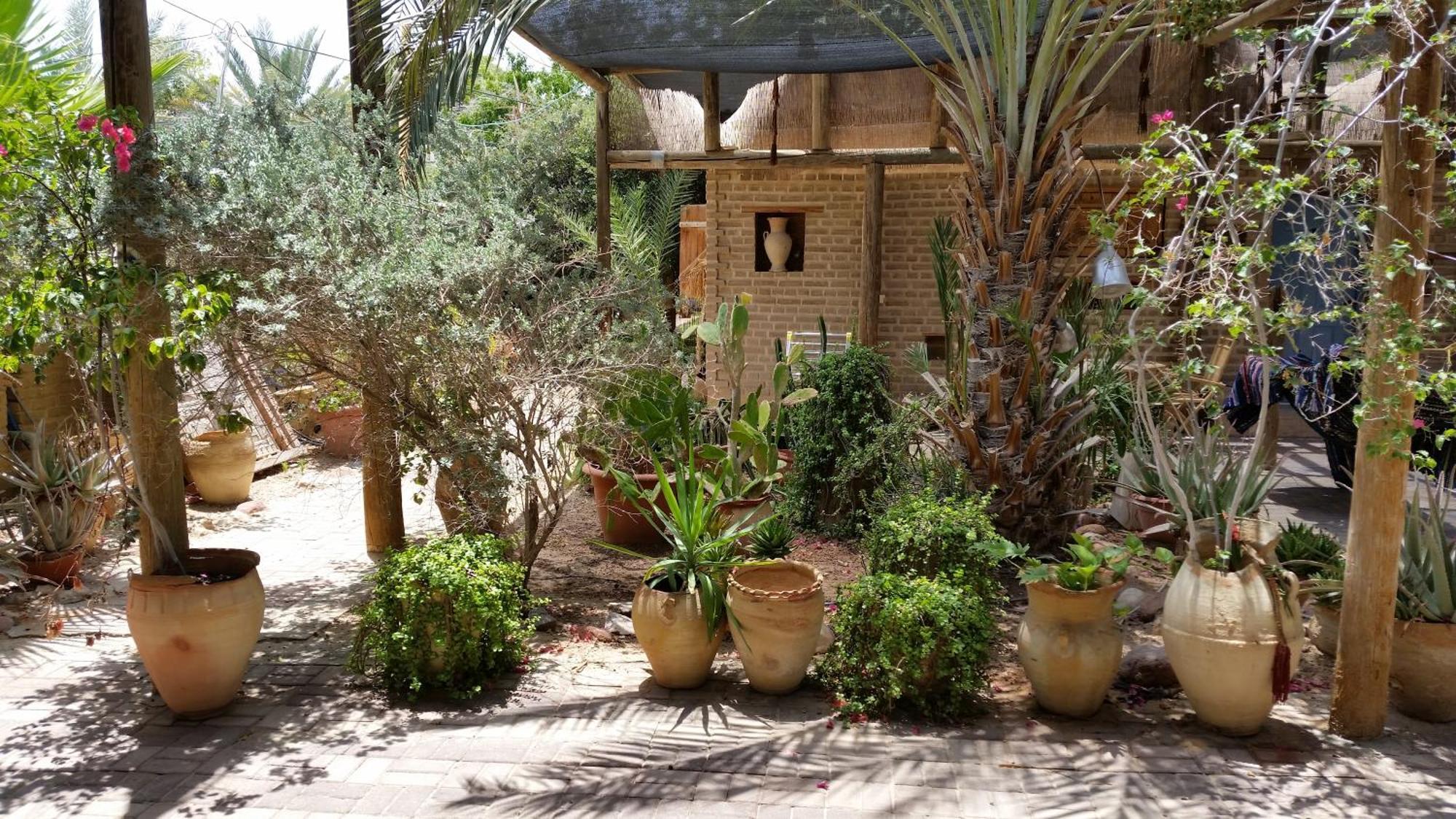 Desert Routes Inn Shvilim Ba Midbar Hazeva Экстерьер фото